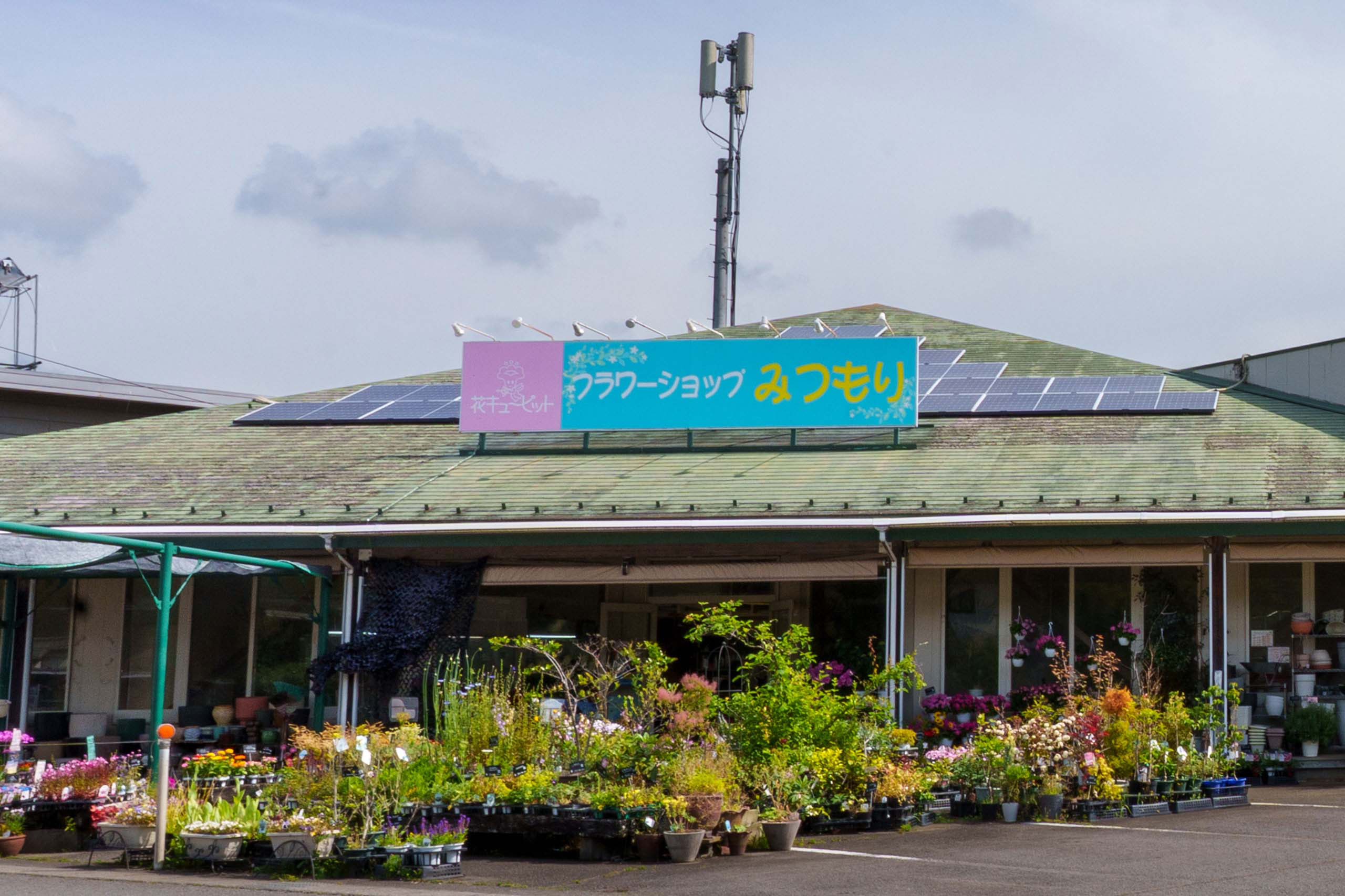 有限会社 三森生花店