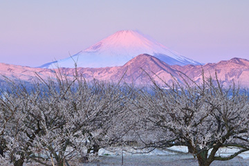 2月の富士研セミナー