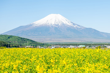 3月の富士研セミナー