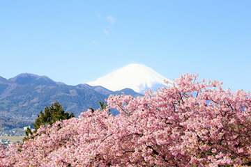 ４月の富士研セミナー